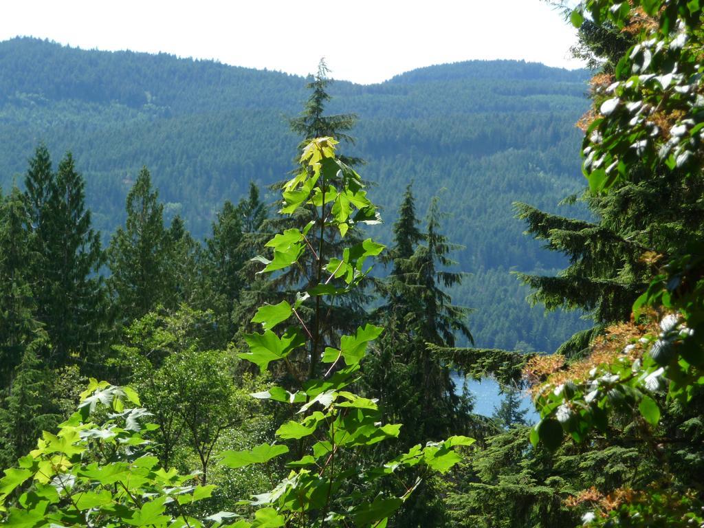 Bed and Breakfast Davis Brook Retreat Sechelt Zewnętrze zdjęcie