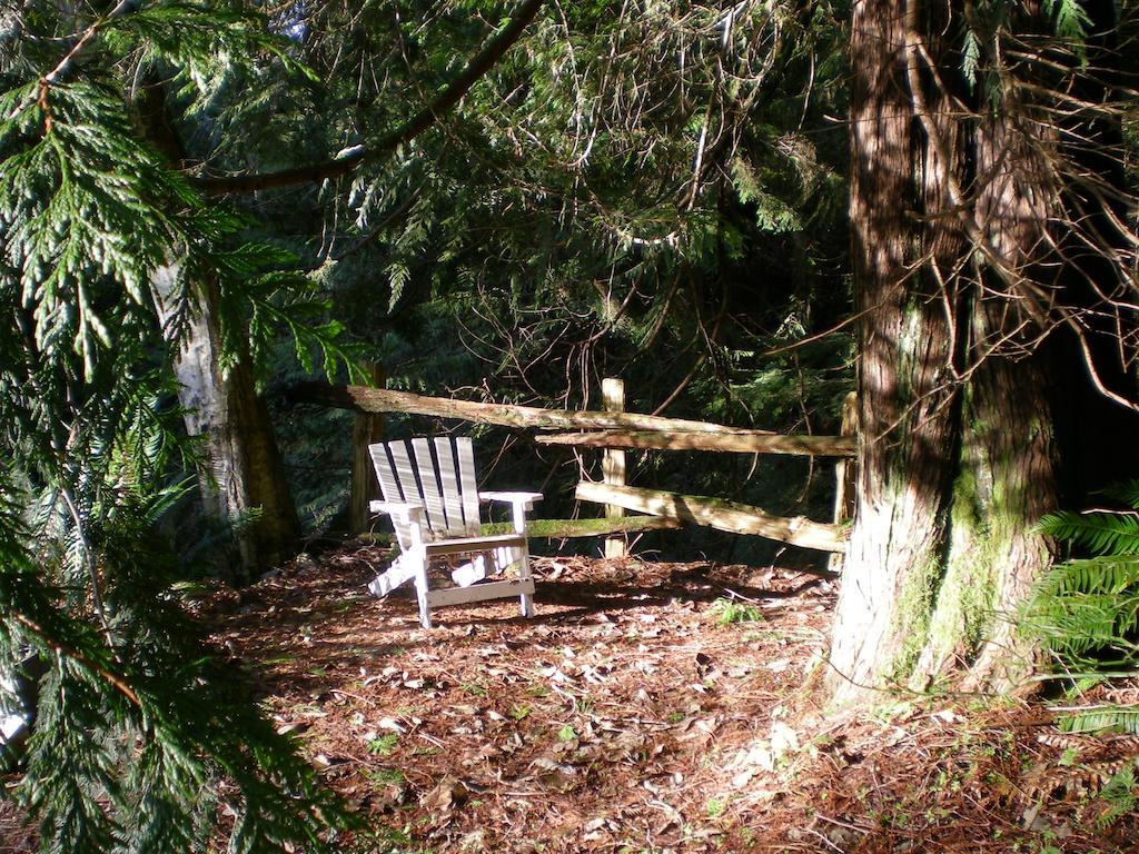 Bed and Breakfast Davis Brook Retreat Sechelt Zewnętrze zdjęcie