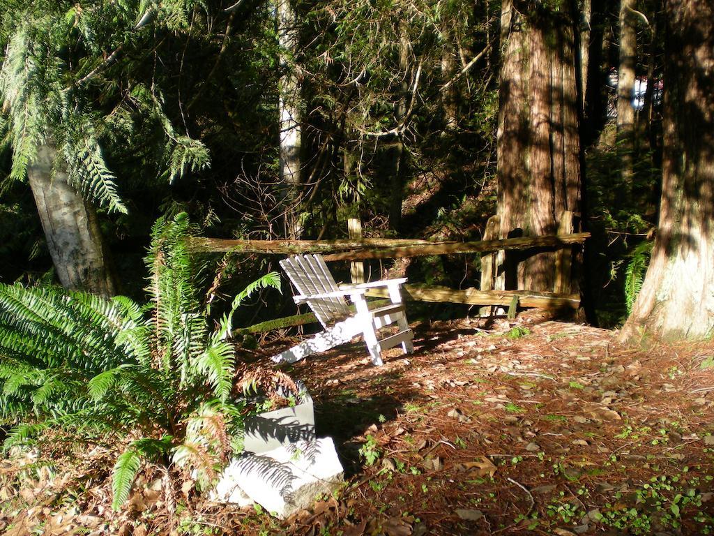 Bed and Breakfast Davis Brook Retreat Sechelt Zewnętrze zdjęcie