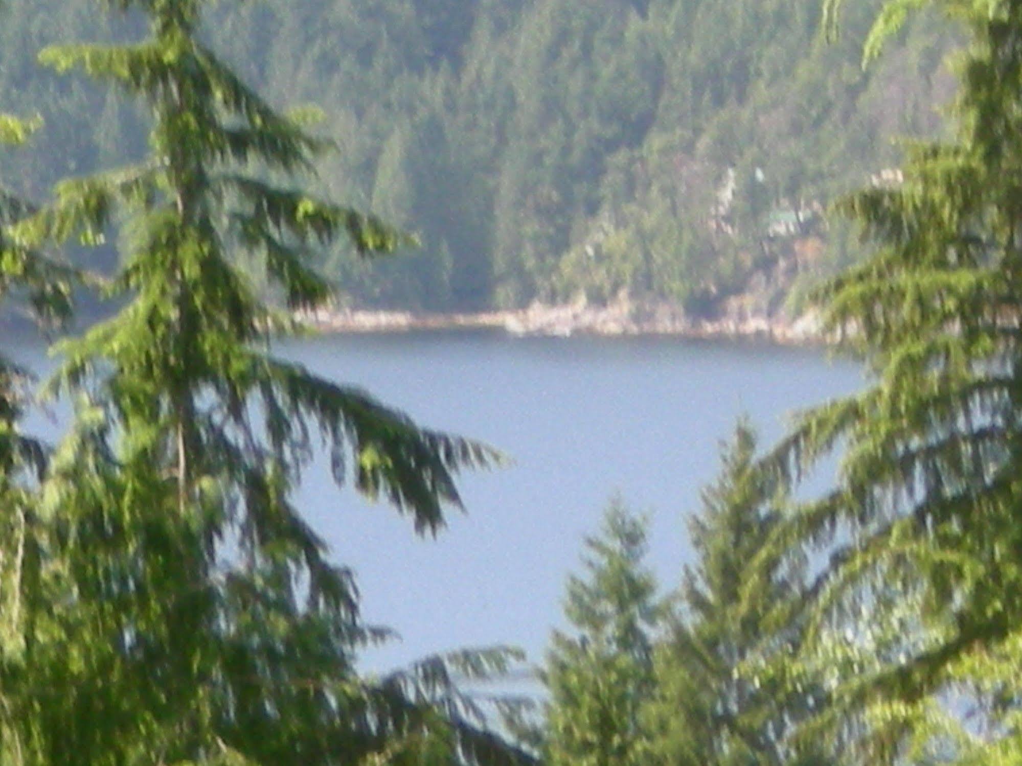 Bed and Breakfast Davis Brook Retreat Sechelt Zewnętrze zdjęcie